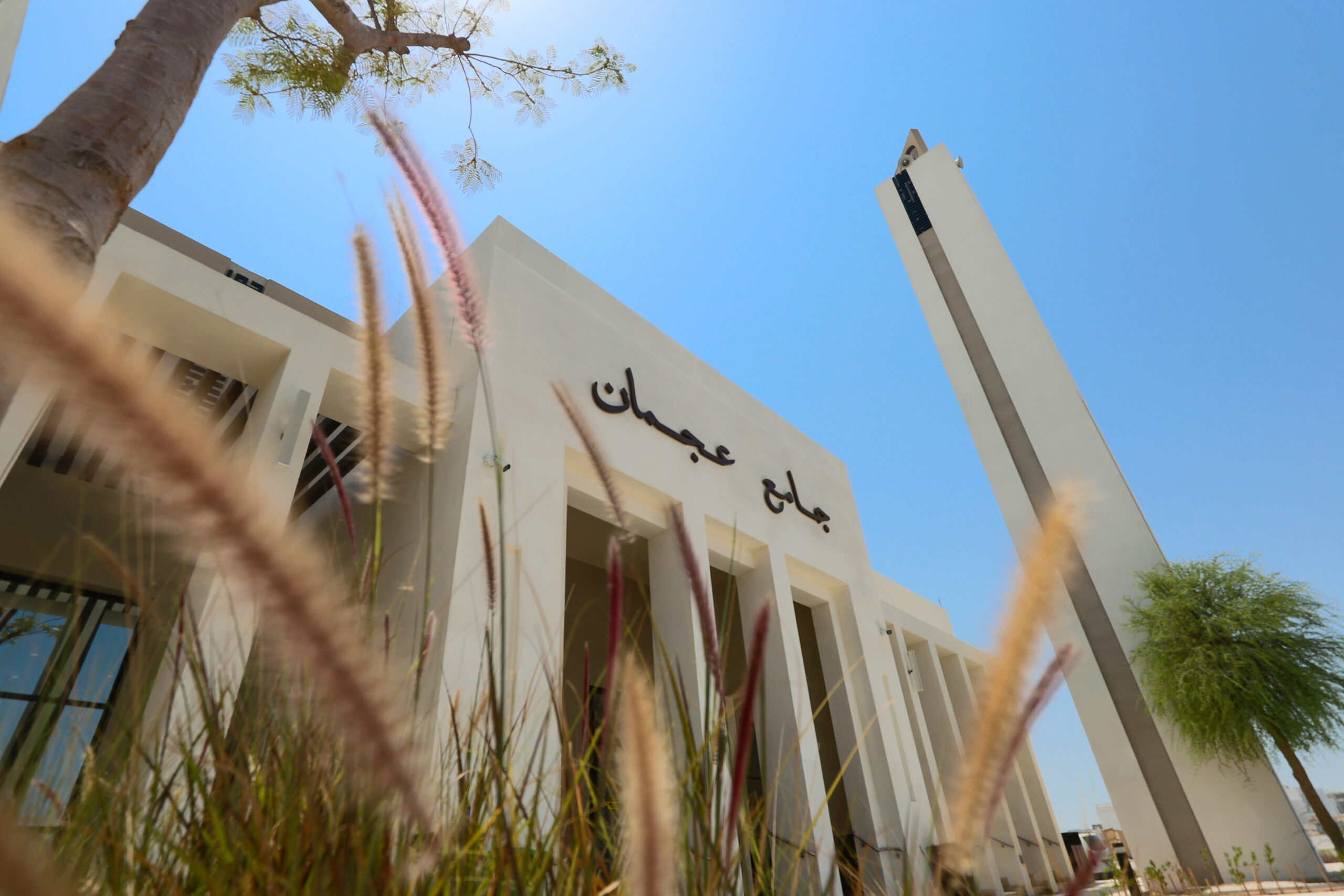 Design and Construction of 3 Mosques