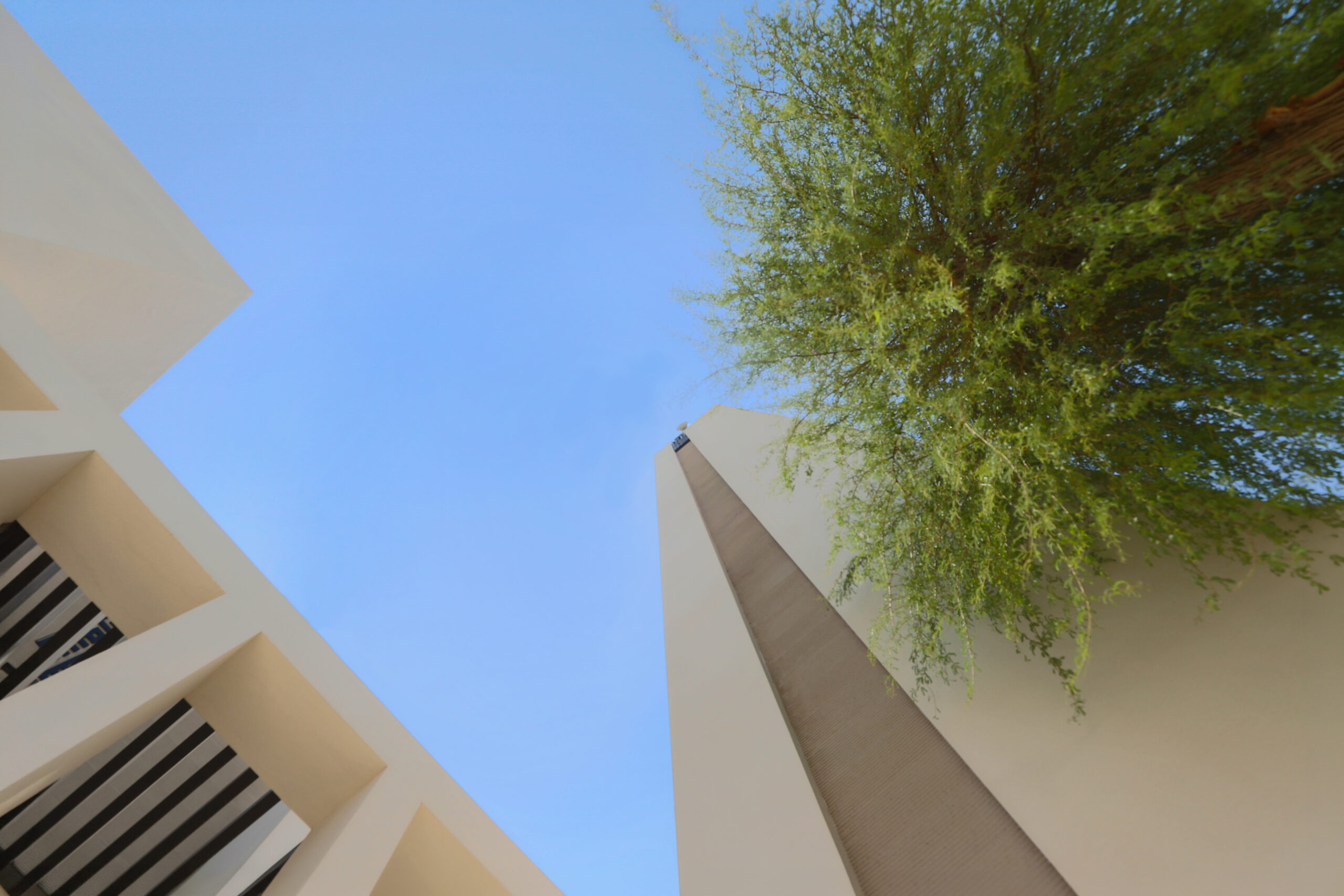 Design and Construction of 3 Mosques